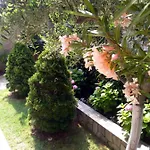 Apartamento Yanevi *